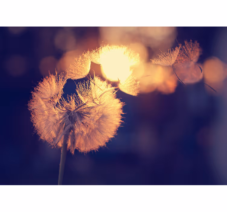 Mutfak stor perde - dandelion deseni - TenStickers