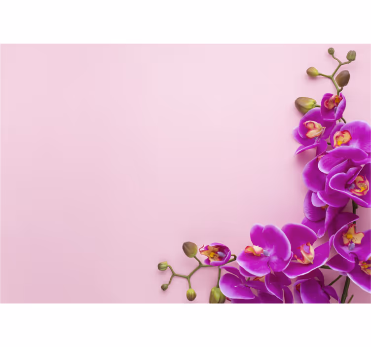 Mutfak stor perde orkide deseni pembe arka planlı - TenStickers