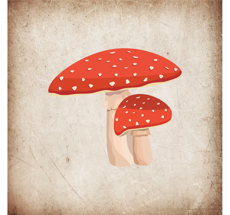 Mutfak stor perde - amanita mantar illüstrasyonu - TenStickers