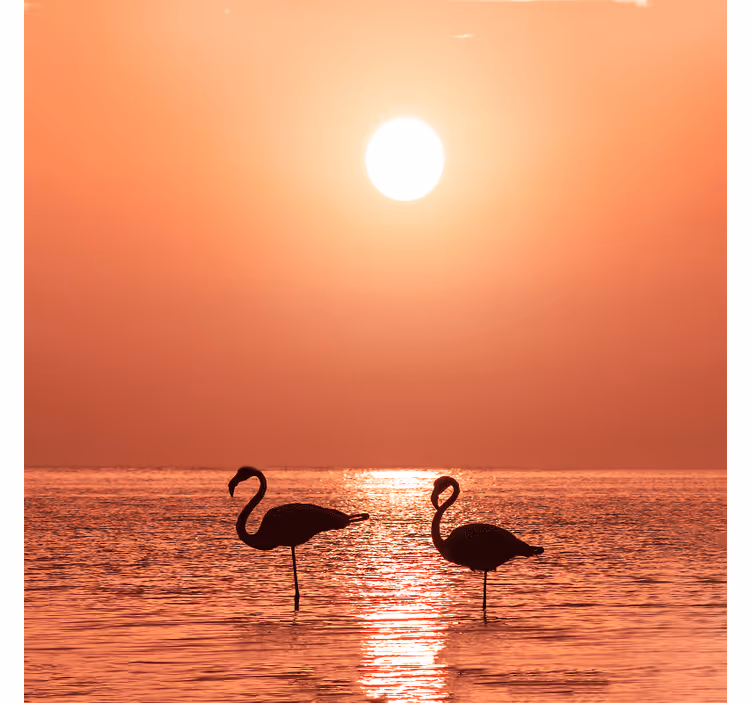 Oturma odası stor perde güzel flamingo ve gün batımı - TenStickers