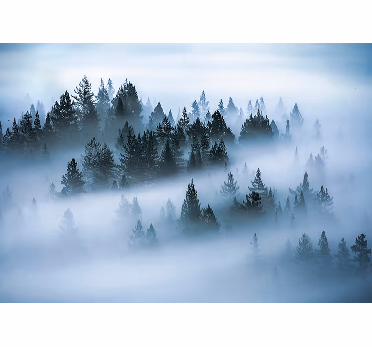 Morning fog oturma odası stor perde - TenStickers