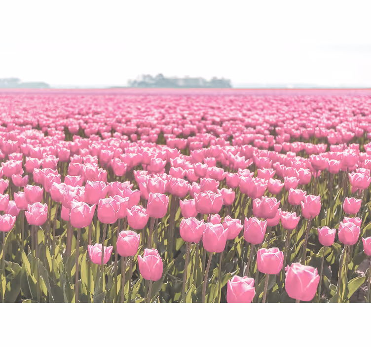 Oturma odası stor perde pembe lale tarlası - TenStickers