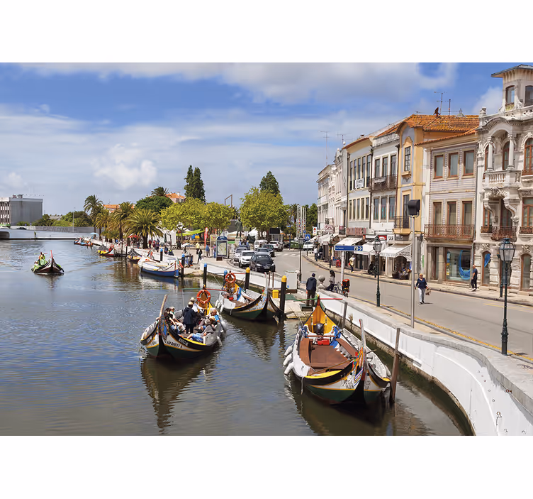 Oturma odası stor perde aveiro moliçeiro - TenStickers