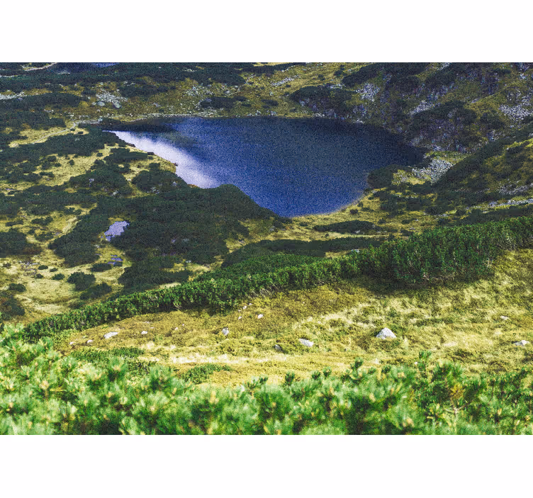 Oturma odası stor perde green polskie tatry - TenStickers