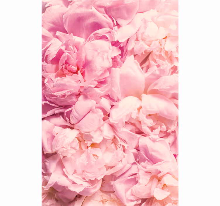 Yatak odası stor perde pembe peony çiçekleri - TenStickers