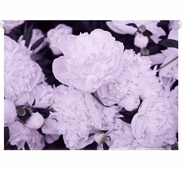 Oturma odası stor perde pembe şakayıklar - TenStickers
