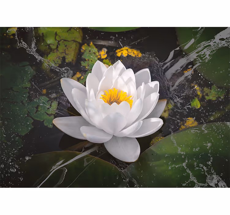 Beyaz ve sarı lotus yatak odası stor perde - TenStickers