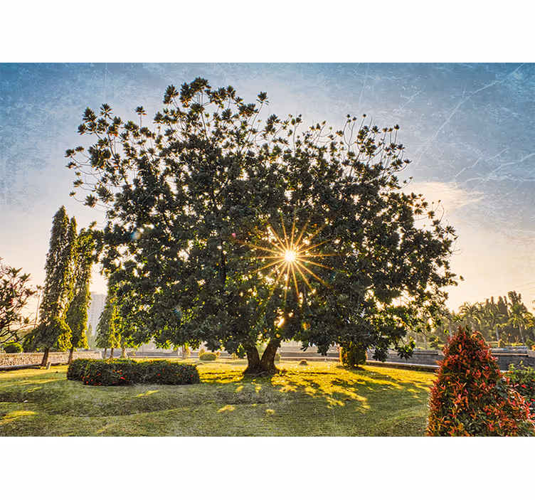 Yatak odası stor perde yazlık yeşil park - TenStickers