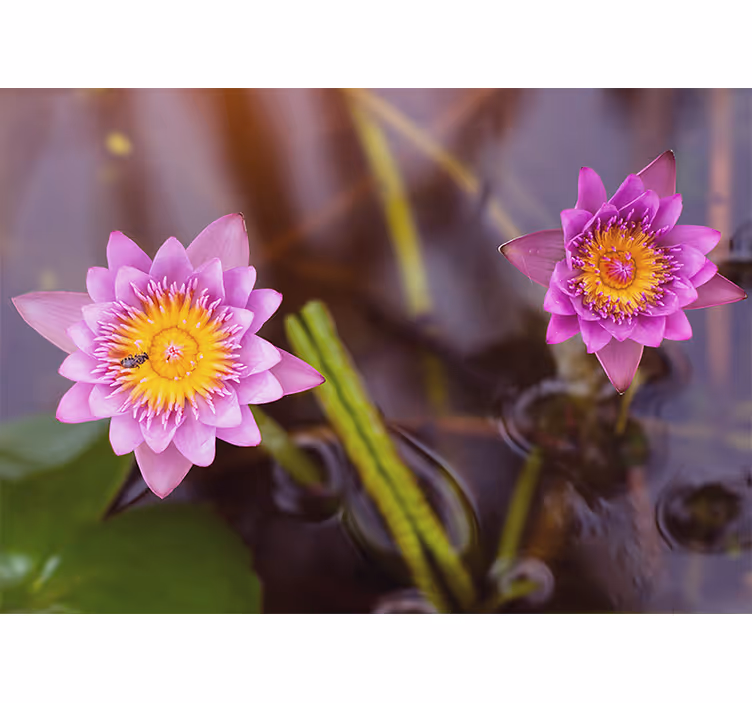 Pembe/mor lotus yatak odası stor perde - TenStickers
