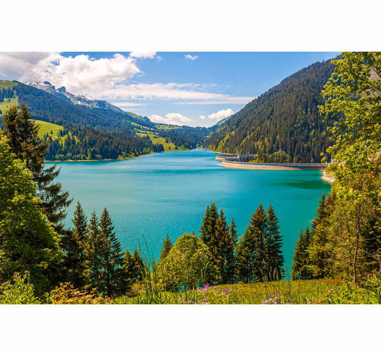 Oturma odası stor perde lago longrin - TenStickers