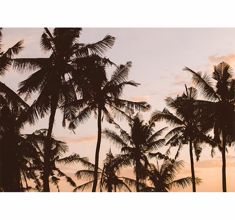 Yatak odası stor perde sunset palmiye ağacı - TenStickers