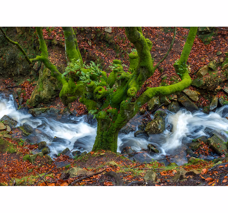 Oturma odası stor perde gorbea - TenStickers