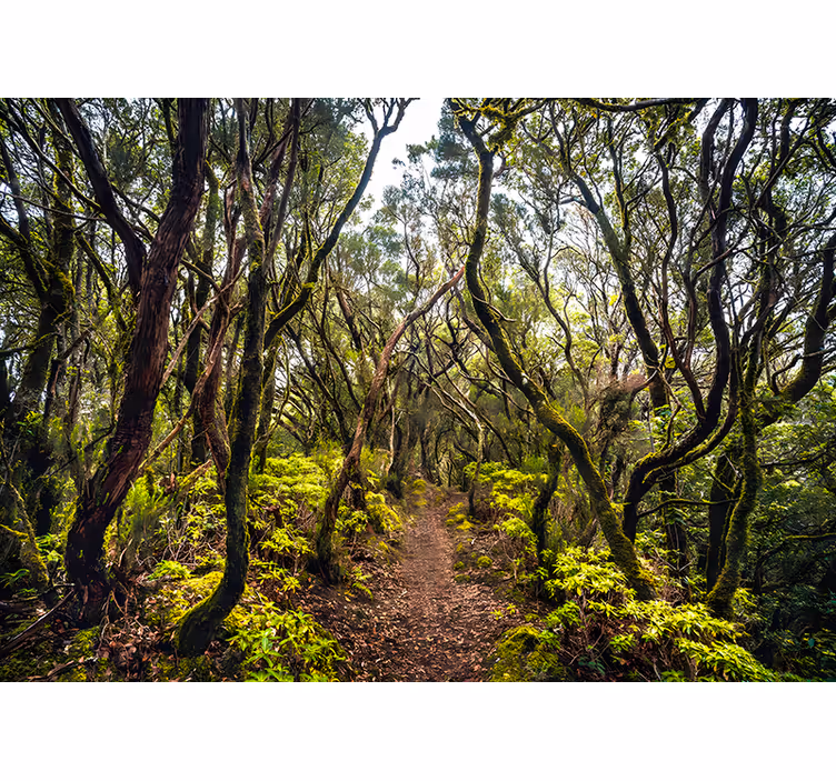 Oturma odası stor perde - anaga tenerife - TenStickers