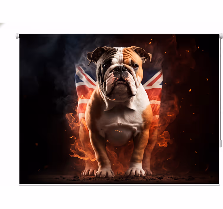 Genç odası stor perde alevde britanya bulldogu - TenStickers