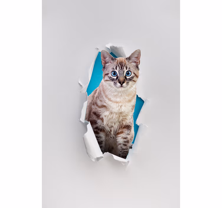 Kedi çeşitli hayvan stor perde - TenStickers