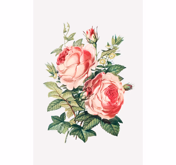 Romantik gül çiçekleri çiçekler ve bitkiler stor perde - TenStickers