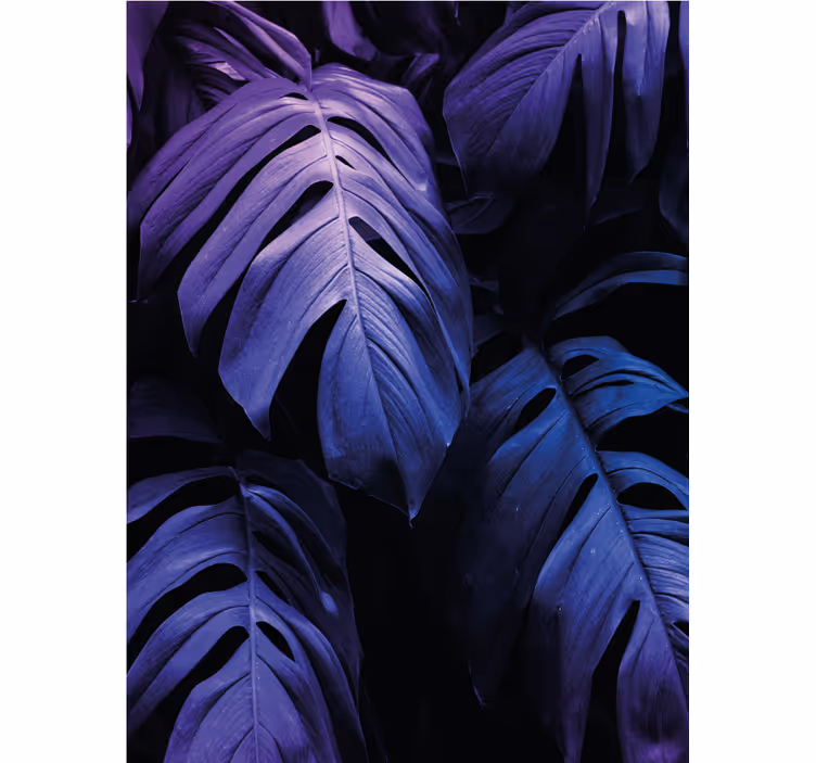 Çiçekler ve bitkiler stor perde monstera deliciosa yaprağı - TenStickers