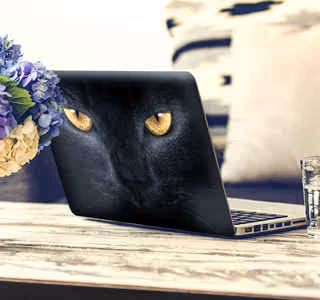Laptop sticker