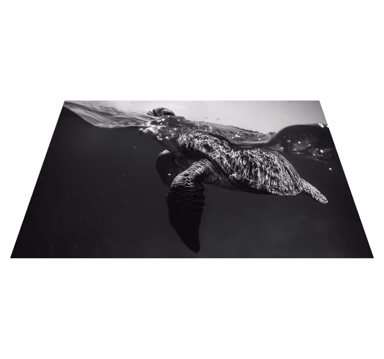Siyah placemats yüzme tek renkli kaplumbağa - TenStickers