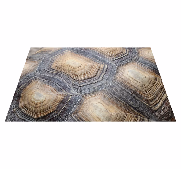 Kaplumbağa kabuğu kaplumbağa placemats - TenStickers