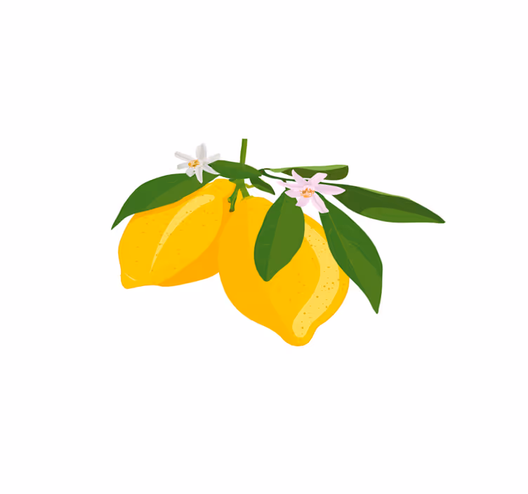 Orijinal amerikan servis limon dalı İllüstrasyonu - TenStickers