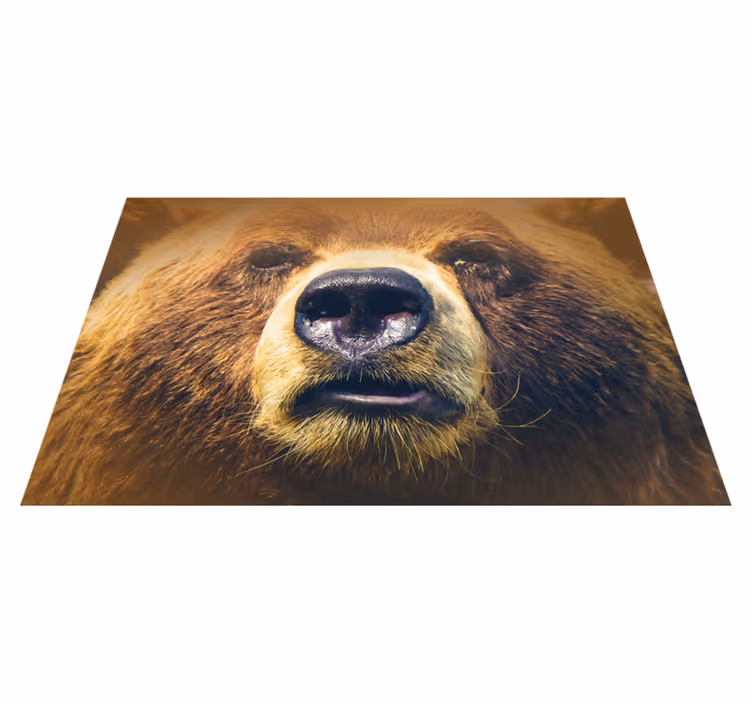 Ayı diğer renkler placemats - TenStickers