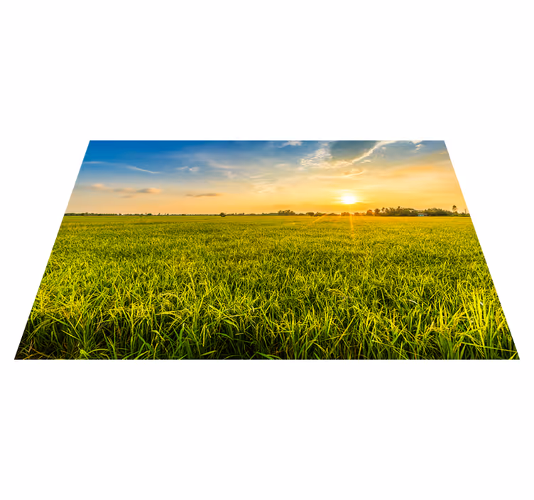 Sunset rice field isimli amerikan servis - TenStickers