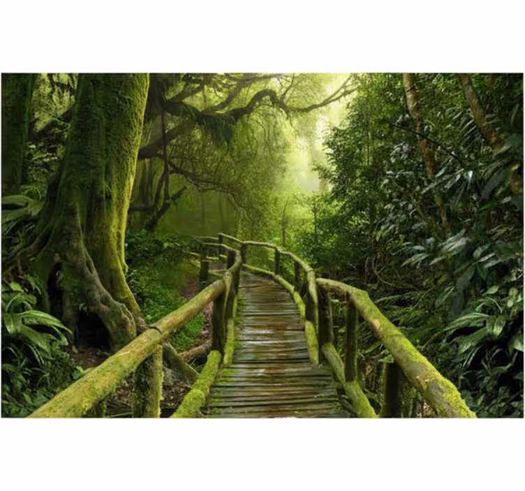 Orman duvar resmi lush mossy boardwalk - TenStickers