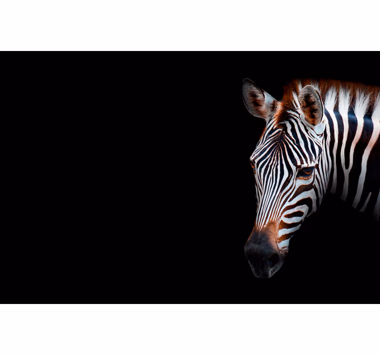 Afrika tarzı duvar resmi zebra resmi - TenStickers