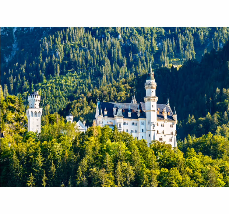 Neuschwanstein kalesi manzarası şehir ve ülke duvar resim - TenStickers
