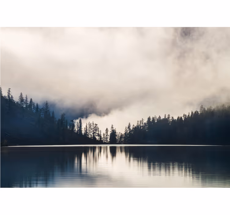 Manzara duvar resmi misty woodland reflection - TenStickers