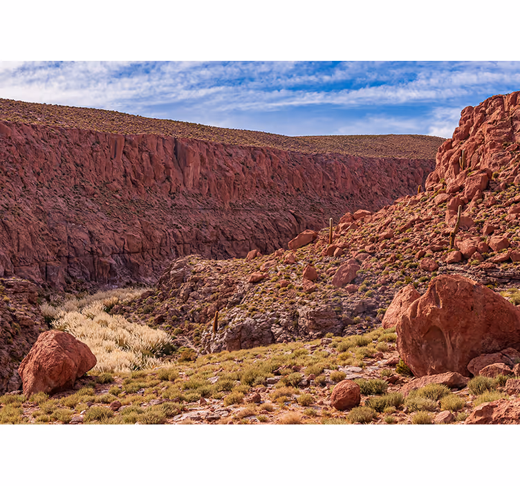 Atacama çöl duvar resmi - TenStickers