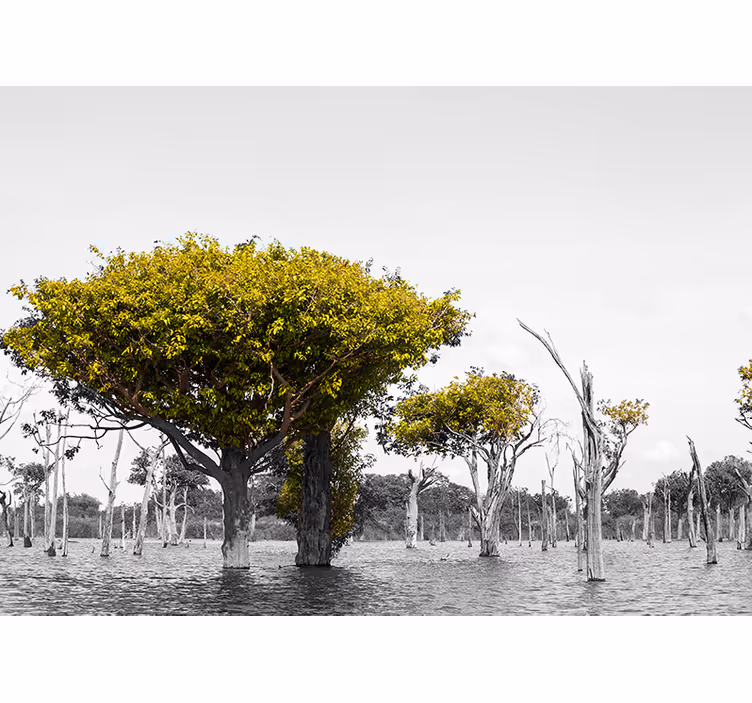 Büyük kuru ağaçlar afrika tarzı duvar resim - TenStickers