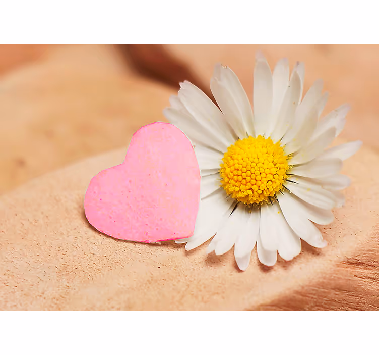 Kalpler ve çiçek romantik duvar kağıdı fotoğrafı - TenStickers