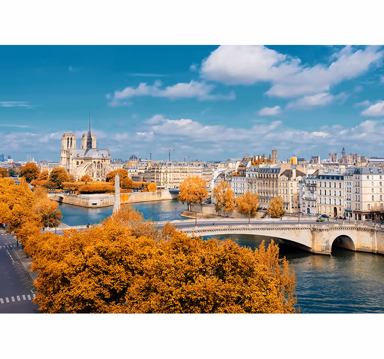 Paris duvar resmi notre dame sonbahar manzarası - TenStickers