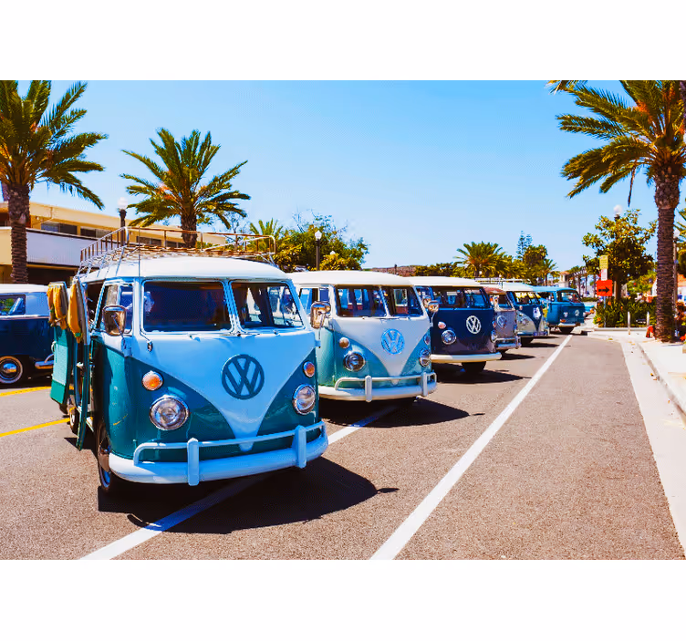 Araç duvar resmi - klasik volkswagen kamyonetleri - TenStickers