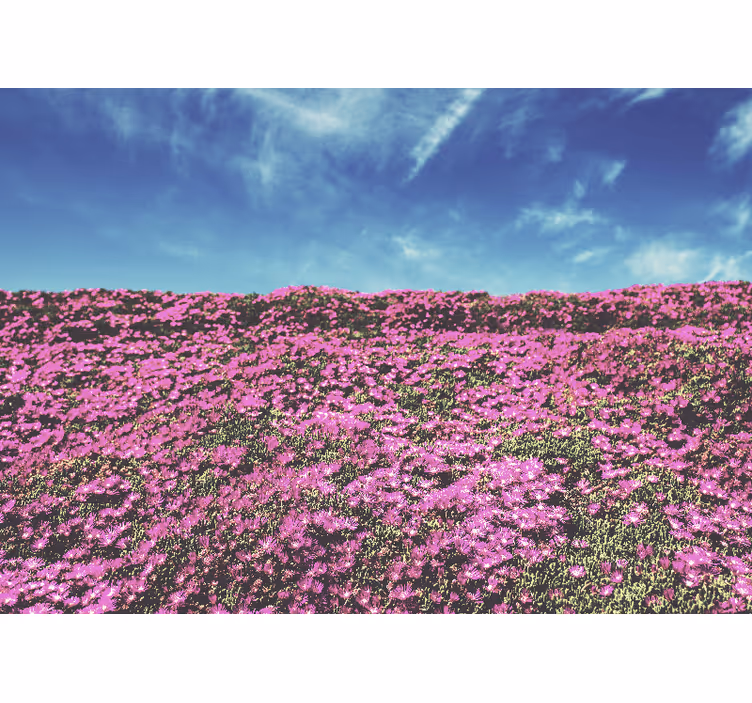 Canlı pembe çiçekler çiçek duvar resim - TenStickers