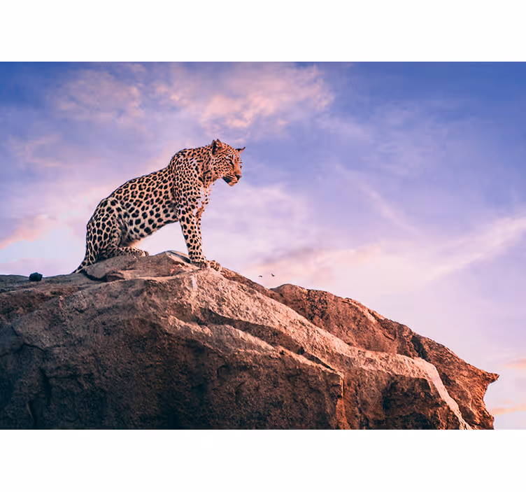 Kayanın üzerindeki leopar hayvan duvar resim - TenStickers