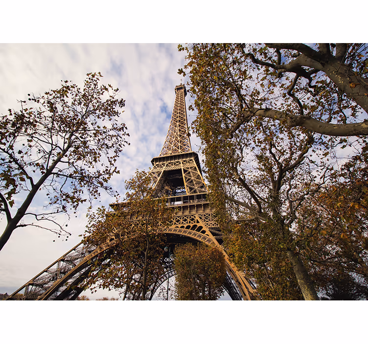 Bahçe duvar resmi ile paris - TenStickers