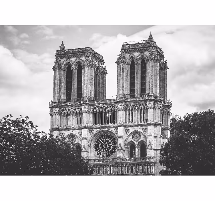 Katedral notre-dame de paris duvar kağıdı - TenStickers