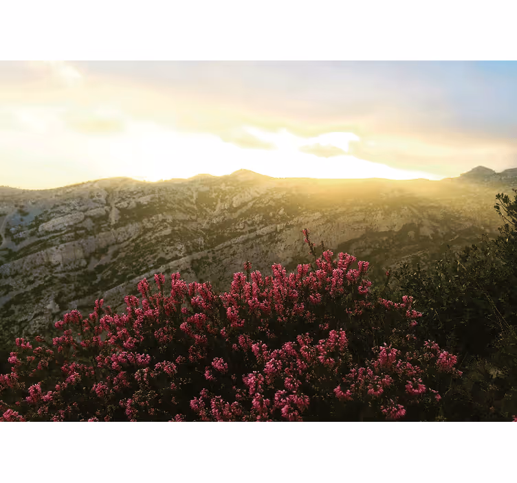 Doğa duvar resim - açan pembe Çiçekler - TenStickers