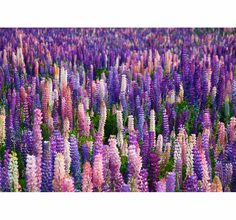 Çiçek duvar resim lush mor Çiçekler - TenStickers
