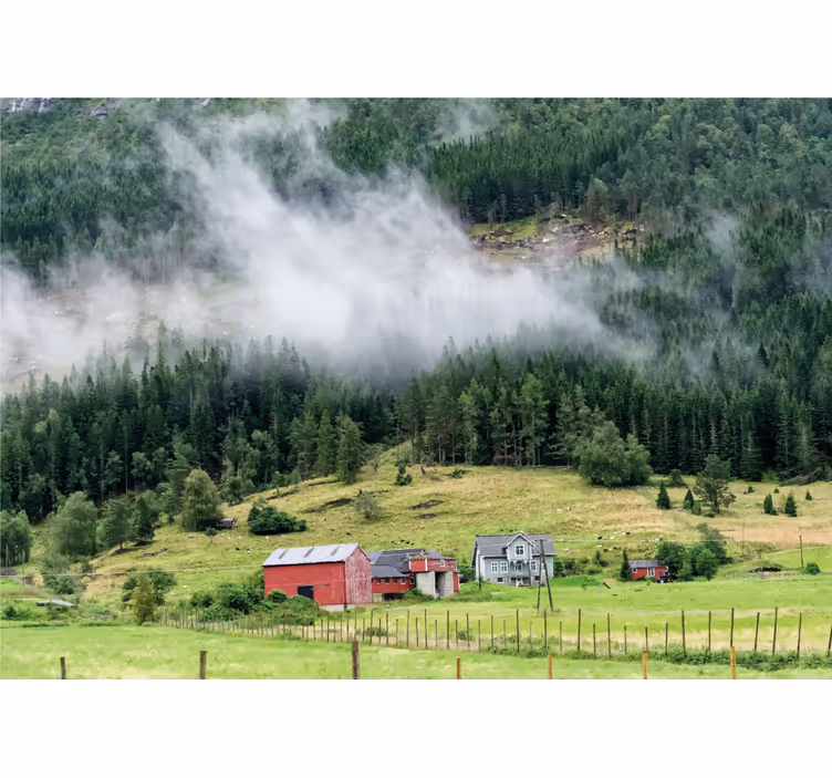 Norveç ormanı doğa duvar resim - TenStickers