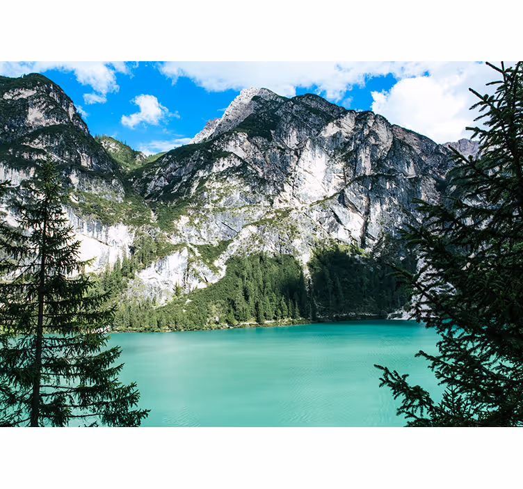 Manzara duvar resmi grand mountain panorama - TenStickers