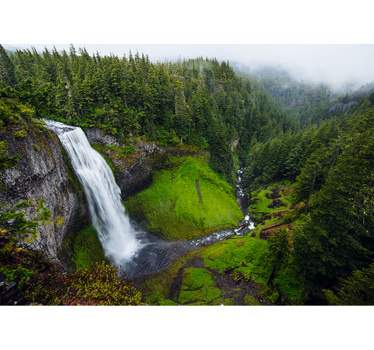 Doğa duvar resim lush green waterfall - TenStickers