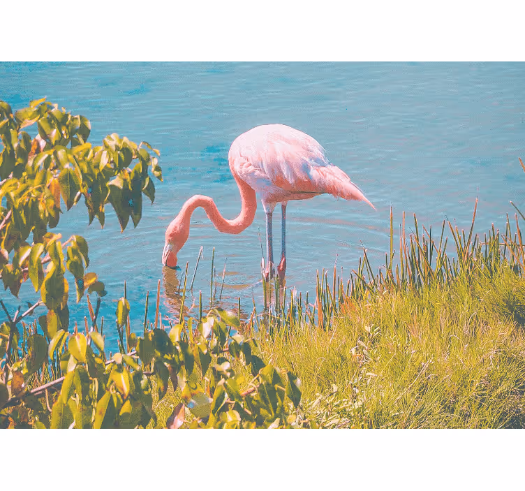 Sudaki flamingo oturma odası duvar kağıdı - TenStickers