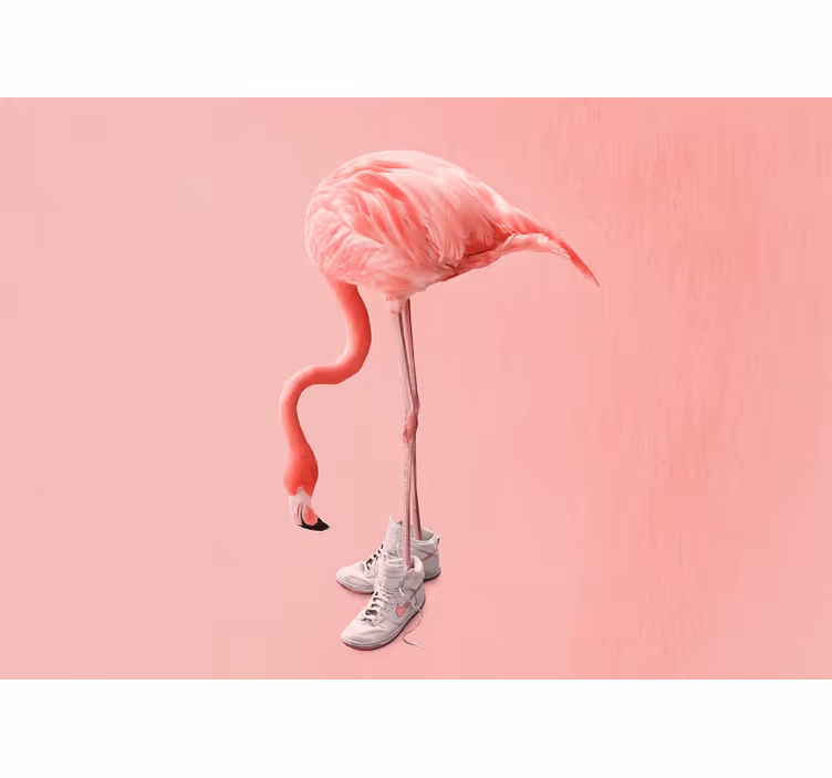 Hayvan duvar reslim flamingo spor ayakkabı ile - TenStickers