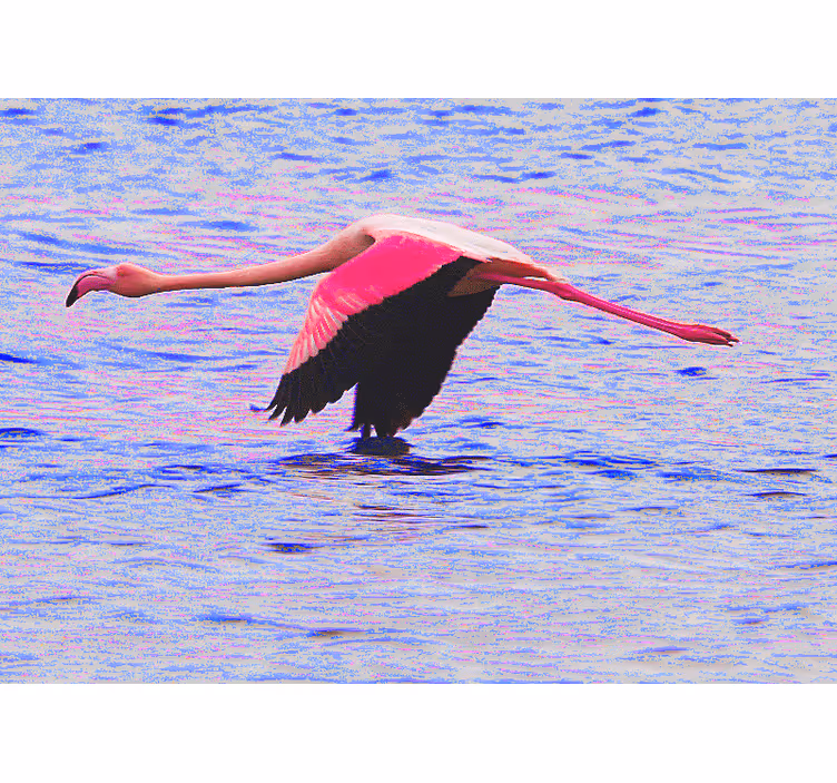 Uçuşta flamingo hayvan duvar reslim - TenStickers