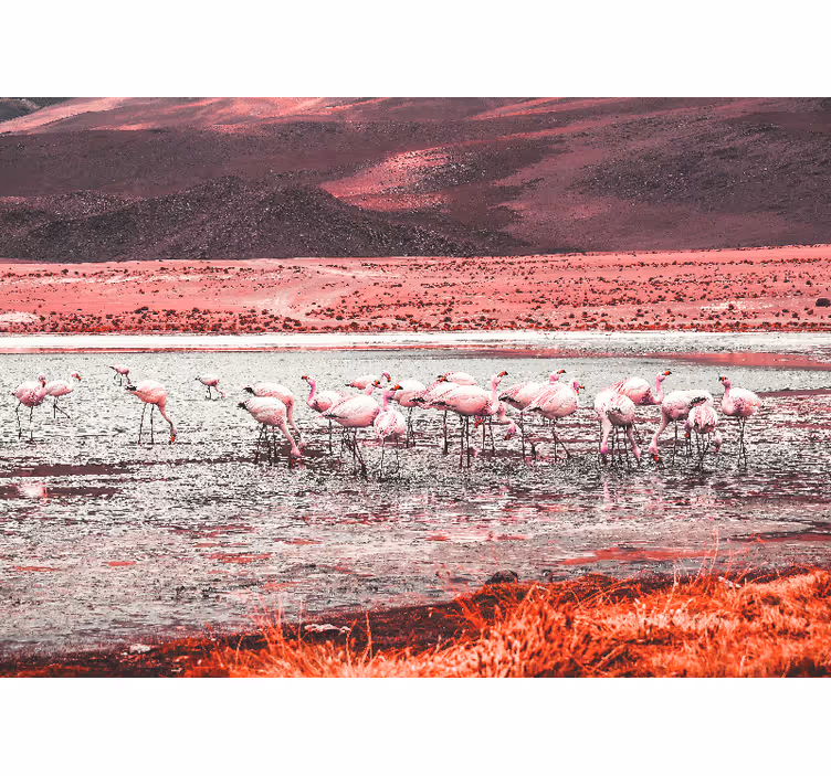 Birçok flamingo ile manzara duvar resmi - TenStickers