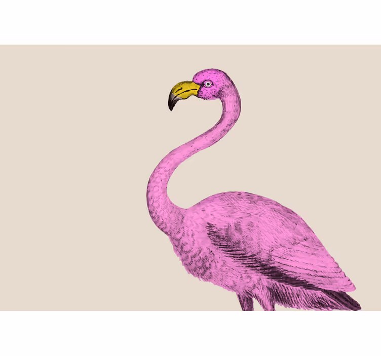 Hayvan duvar resim pembe flamingo zarafeti - TenStickers